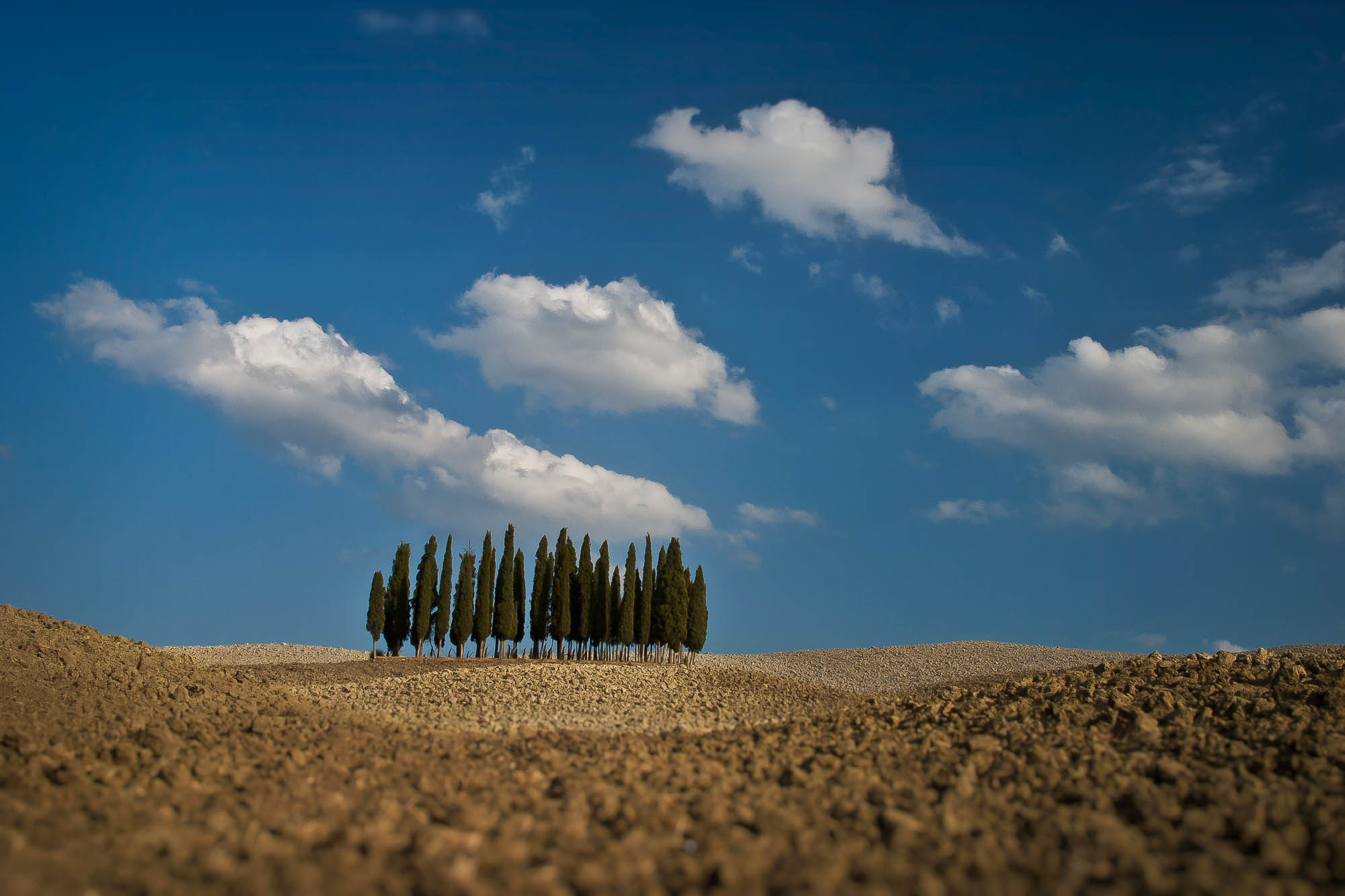 Cypress Hill